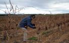 Malestar en Andosilla por la exclusión de 200 ha del Canal de Navarra