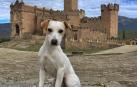 'Pipper', de turismo por Navarra