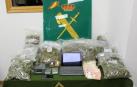 Tres detenidos en un club cannábico de Estella por tráfico de drogas y blanqueo