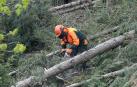 Ayudas para trabajos forestales de entidades locales e iniciativa privada