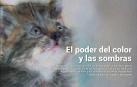 Ya está disponible El Diario DN+, nuestro adelanto para suscriptores, en móvil y tablet. Descárgate la aplicación móvil en http://onelink.to/dnplusmovil y la aplicación Tablet en http://onelink.to/dntablet
