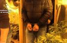Seis detenidos que cultivaban marihuana en Toledo y vendían en otros países