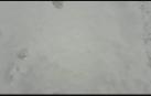 La nieve alcanza los 10 cm en la carretera NA214 Navascués- Burgui