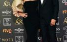 Los primeros invitados a la 33 ceremonia de los Premios Goya han comenzado a llegar a la alfombra roja del Palacio de Exposiciones y Congresos de Sevilla (FIBES) hacia las 18.20 horas de este sábado 2 de febrero
