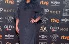 Los primeros invitados a la 33 ceremonia de los Premios Goya han comenzado a llegar a la alfombra roja del Palacio de Exposiciones y Congresos de Sevilla (FIBES) hacia las 18.20 horas de este sábado 2 de febrero