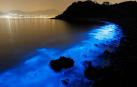 La costa de Hong Kong brilla iluminada por algas Noctiluca scintillans.