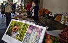 Fijar población en la zona de Sangüesa, reto del Gobierno