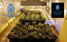 Dos detenidos por tráfico de drogas y desmantelado un punto de venta en Pamplona