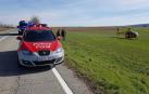 Un herido grave tras salirse una motocicleta de la vía en la NA-1110, en Sansol