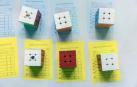 El XV Campeonato de España de Speedcubing tuvo lugar en el frontón de labrit, con 148 jugadores inscritos.