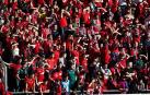 Imágenes de aficionados de Osasuna en las gradas del estadio del Numancia.