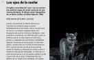 Ya está disponible El Diario DN+, nuestro adelanto para suscriptores, en móvil y tablet. Descárgate la aplicación móvil en http://onelink.to/dnplusmovil y la aplicación Tablet en http://onelink.to/dntablet.