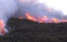 Imagen del incendio que ha afectado a la vegetación junto a la ermita de San Isidro del Pinar.