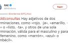 Un 'zasca' de la RAE ante una consulta en Twitter se hace viral