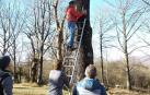 Una iniciativa refuerza la adaptación del murciélago forestal en Alsasua