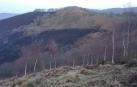 Extinguido en Goizueta el incendio intencionado que ha calcinado más de 100 ha.
