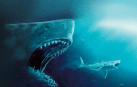 Los dientes terribles del megalodón tardaron millones de años en evolucionar