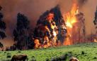 Incendio en las proximidades de Naves (Llanes).