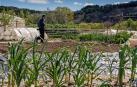 El campo navarro sufre una p&eacute;rdida de aut&oacute;nomos del 1,85%