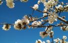 La primavera, retratada por los lectores de Diariodenavarra.es.