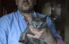 Gala, la gata que consiguió ver la luz