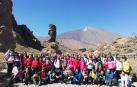 Alumnos de Fitero y del colegio Infanta Elena de La Orotova posan juntos con el Teide a sus espaldas.