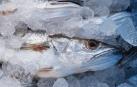 Cada vez comemos menos pescado