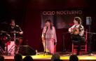 Fotos de algunas de las actuaciones de la quinta edición de Flamenco On Fire.