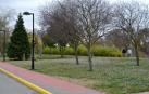 La brigada medioambiental de Lodosa retoma sus funciones