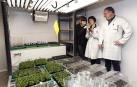 Estudiantes navarros estudian cómo llevar la agricultura a Marte