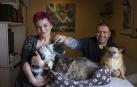 Tres perros, tres gatos y un mismo hogar