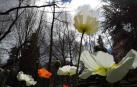 Comparte tu primavera con nosotros y envía tu foto por Whatsapp