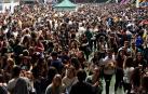 Fotos de la Carpa en la CD Amaya
