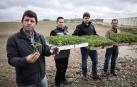 Javier Burgui: “Si no se planta tomate no podremos contratar a 30 personas para trabajar”
