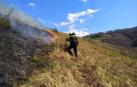 Bomberos forestales durante la extinción de un incendio en Arizkun