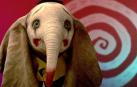 Dumbo llega a Pamplona