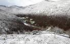 Las nevadas débiles vuelven a teñir de blanco el norte de Navarra