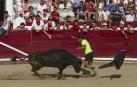 La plaza de toros, espacio de esparcimiento canino