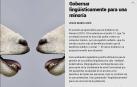 Ya está disponible El Diario DN+, nuestro adelanto para suscriptores, en móvil y tablet. Descárgate la aplicación móvil en http://onelink.to/dnplusmovil y la aplicación Tablet en http://onelink.to/dntablet.