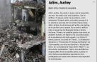 Ya está disponible El Diario DN+, nuestro adelanto para suscriptores, en móvil y tablet. Descárgate la aplicación móvil en http://onelink.to/dnplusmovil y la aplicación Tablet en http://onelink.to/dntablet.