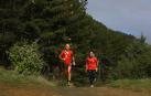 El picor de correr entre procesionaria