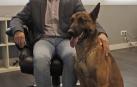 Un compañero de trabajo de cuatro patas que detecta chinches y termitas