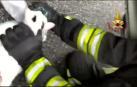 Reaniman a dos gatos intoxicados por un incendio en una vivienda en Turín