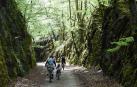 Entre túneles de piedra y vegetación en el Día de las Vías Verdes