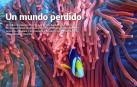 Ya está disponible El Diario DN+, nuestro adelanto para suscriptores, en móvil y tablet. Descárgate la aplicación móvil en http://onelink.to/dnplusmovil y la aplicación Tablet en http://onelink.to/dntablet.