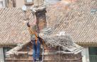 Un 'Gran Hermano' para cigüeñas en Tudela