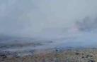 Daños en el ganado en el fuego de una pajera en Tudela
