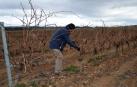 Una marcha de 35 km recorre este viernes la Ribera para pedir el Canal de Navarra