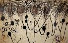 Se exponen en Navarra 36 grabados de Ramón y Cajal sobre las neuronas