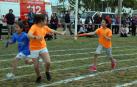 El viernes 11 de mayo Figarol acogió las XLVIII olimpiadas escolares en las que, además del colegio local, participaron los de Caparroso, Rada, Mélida, Santacara, Carcastillo y Murillo el Fruto. Una jornada deportiva organizada desde el colegio público Nuestra Señora de Ujué de Figarol, que contó con el apoyo de numerosos colectivos locales, como la apyma, el concejo, las peñas, la asociación de mujeres, el club de jubilados y la cooperativa agrícola AN.